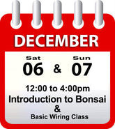 Introduction to Bonsai - December 6th & 7th 2025